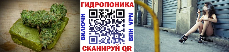МЕГА   Западная Двина  Cannafood конопля 