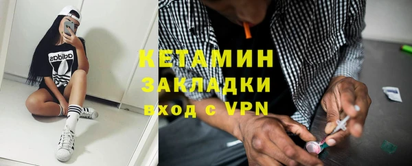 стаф Вязьма