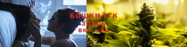 mdpv Вяземский