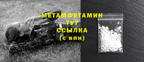 стаф Вязьма