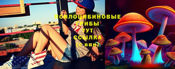 mdpv Вяземский