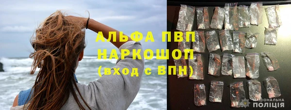 стаф Вязьма